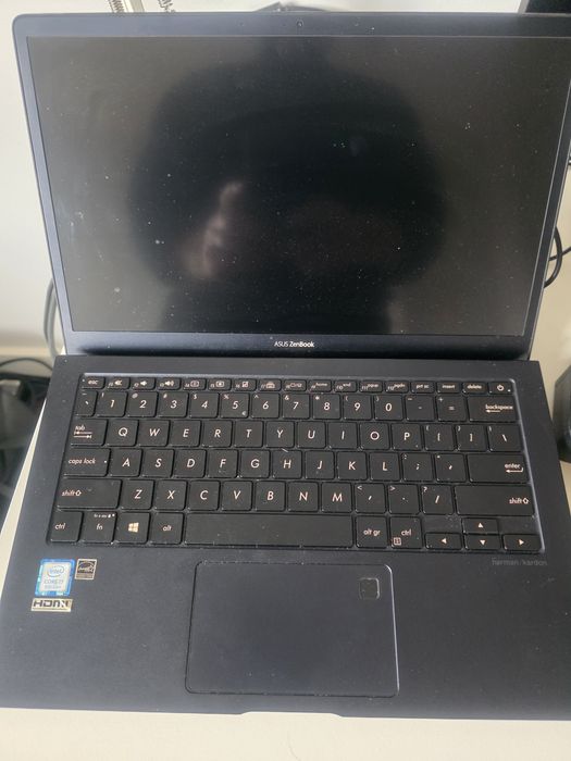 Asus Zenfbook UX391U