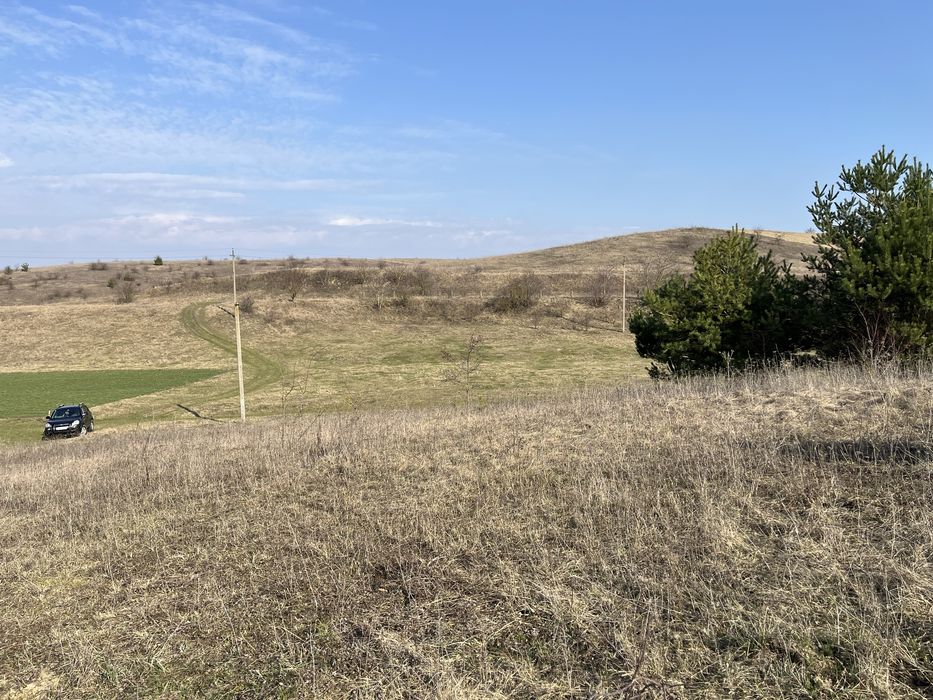 ‼️Рясники ділянка‼️