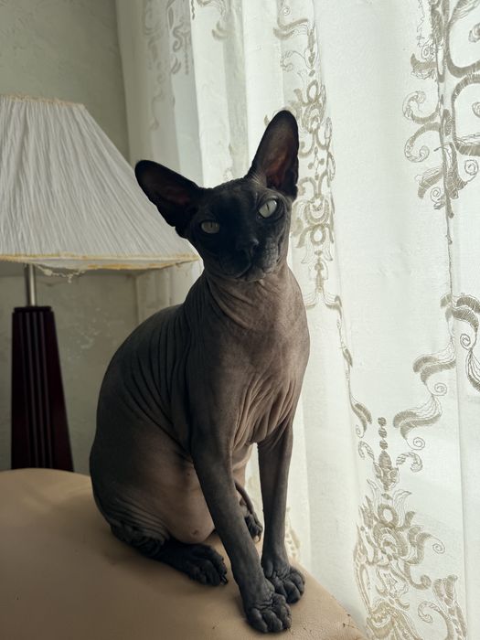 Дом по адресу ул. Васильковская (площадь 150 м²) - Atlanta.ua - фото 9