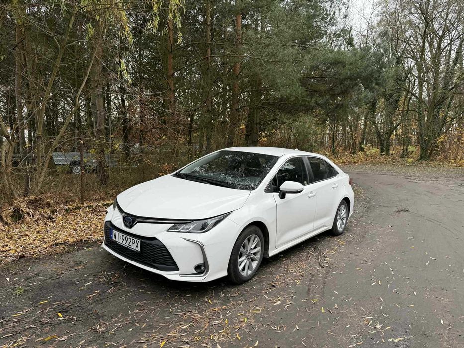 Wynajem Samochodów – TAXI oraz Prywatnie