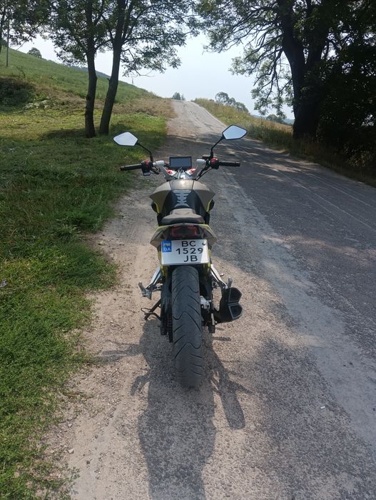 Shineray nitrox 300
