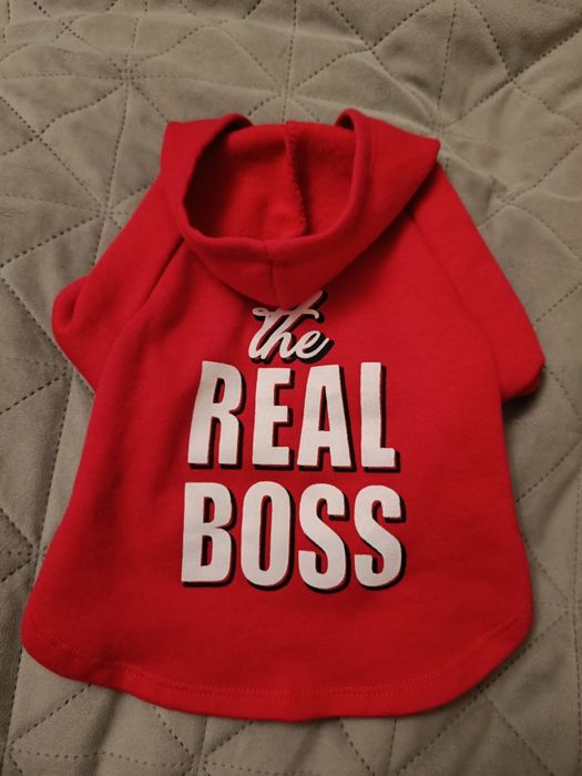 Худі для песика на байці