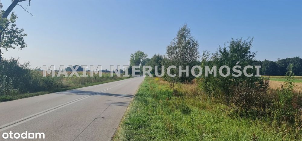 Piękne działki w miejscowości Zaręby