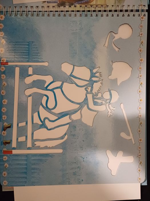 Książka Konie i Kucyki