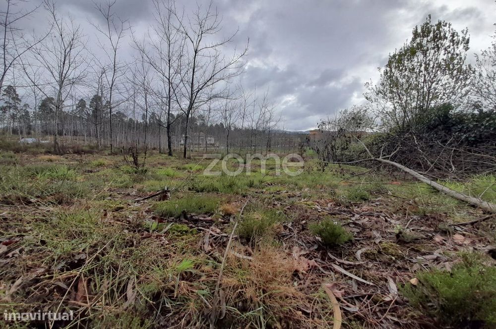 Terreno para construção com 5400m2