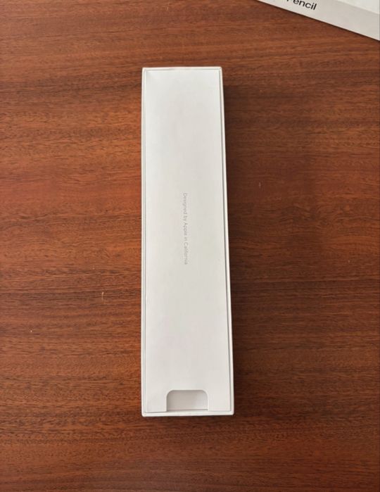 Apple Pencil 1° geração