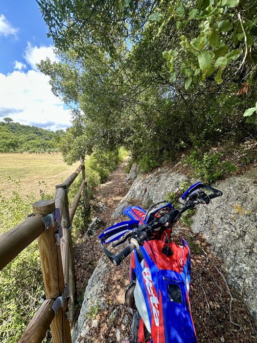 BETA 300rr (Matriculada)