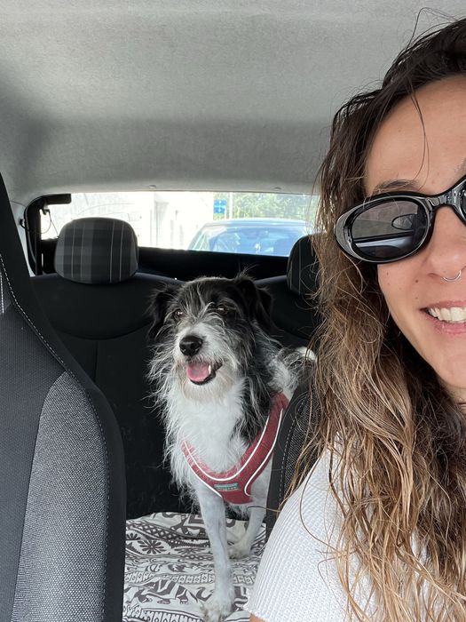 Pet Sitting - Almada e Lisboa