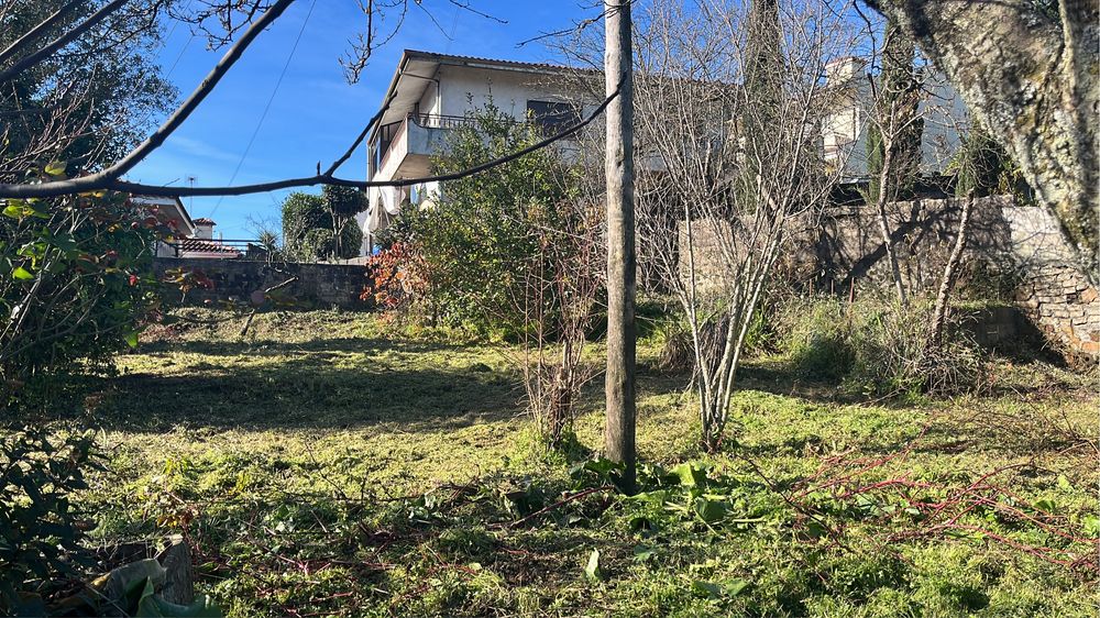 Limpezas de terrenos / desmatação e jardinagem