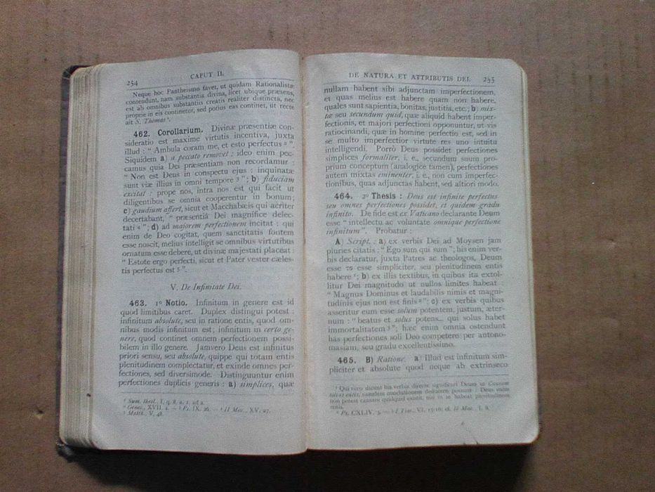 Brevior Synopsis Theologiae Dogmaticae