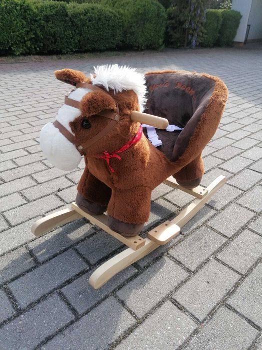 Koń na biegunach