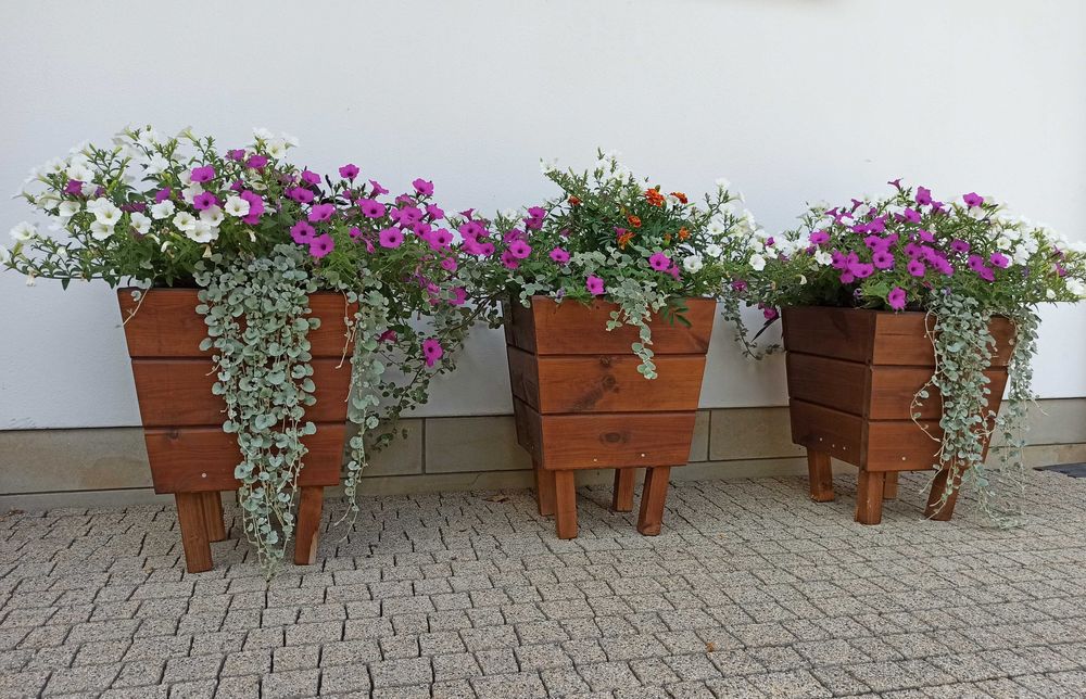 Donica drewniana (11 sztuk)