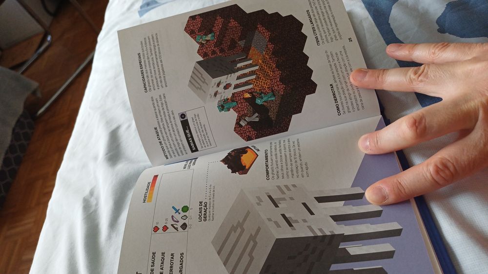Livro do Minecraft - O Nether e o Fim