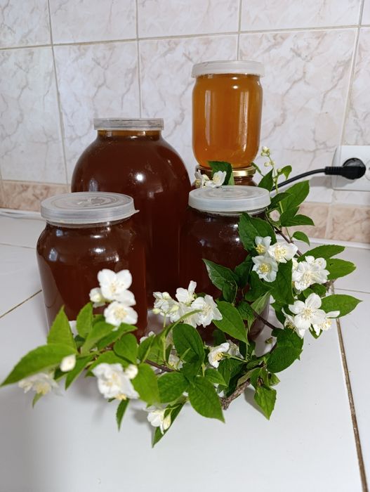 Мед травневий 2025