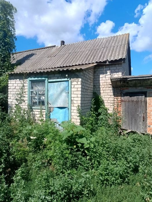 Продам будинок в селі Петрозагір'я