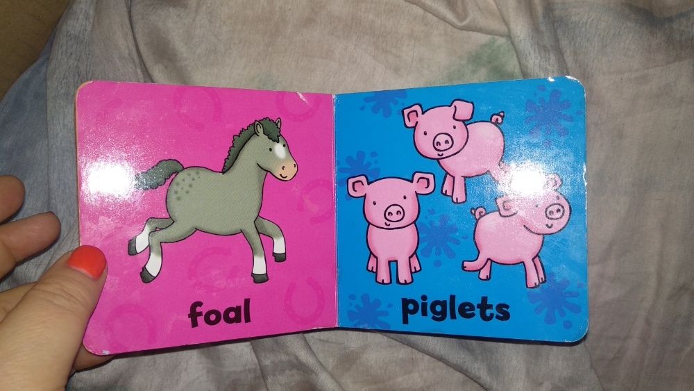 детская книга на английском цветная дети животных Animal babies