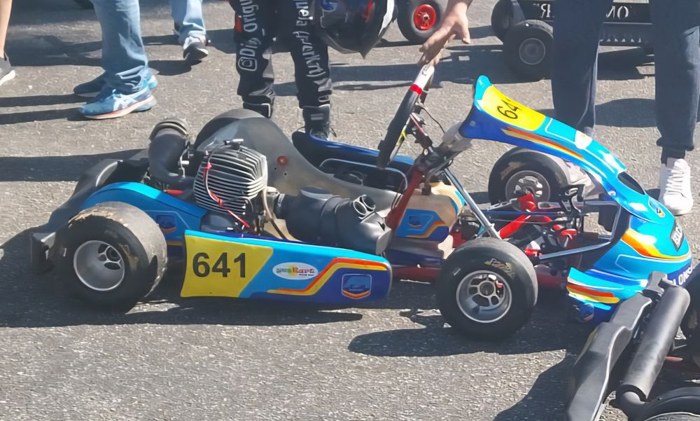 Motor Iame Puma 85cc
