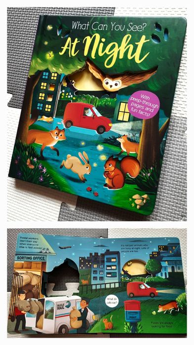 Zestaw What Can You See? 3 książki sensoryczne po angielsku