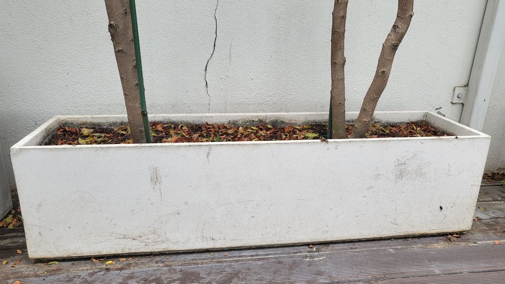 Vasos em cimento branco (6)