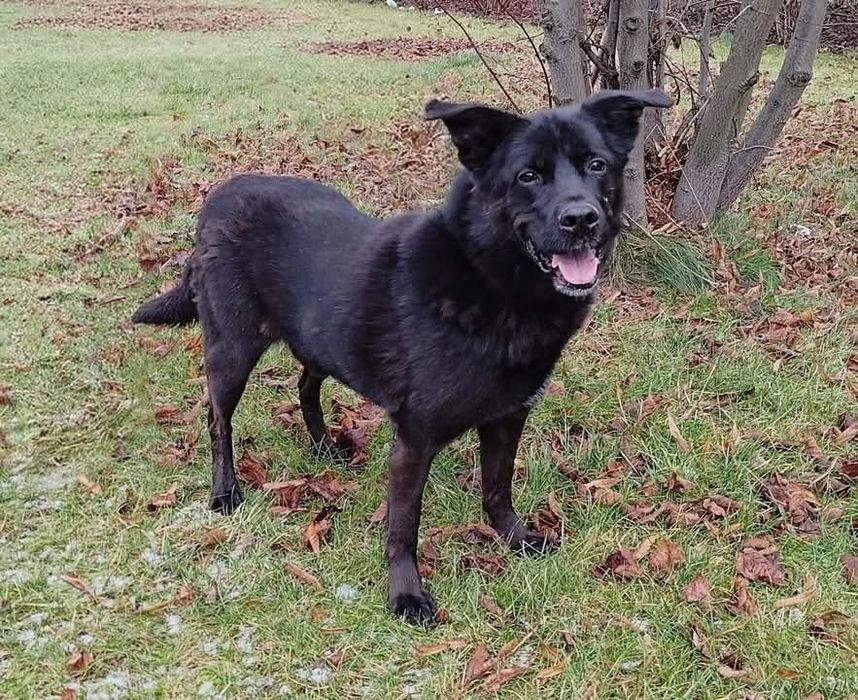 Melo szuka swojego człowieka