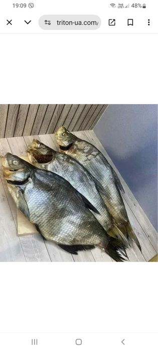 Продам лещ вяленый