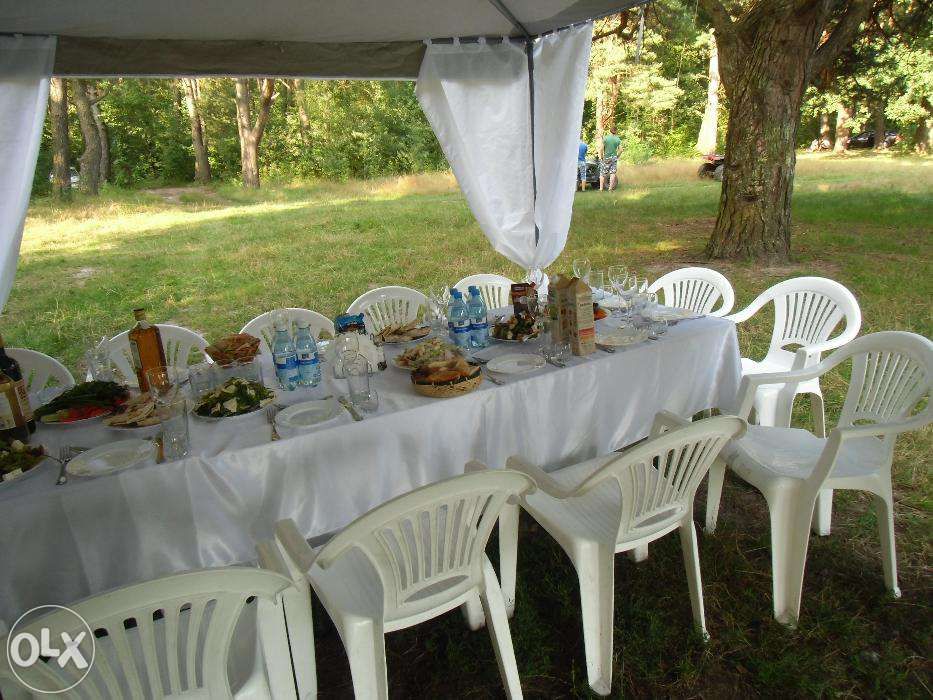 Аренда Шатера на 38 человек -50%