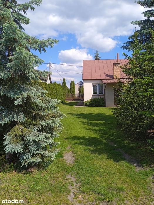 Dom wolnostojący z działką i zabudowaniami gospodarczymi