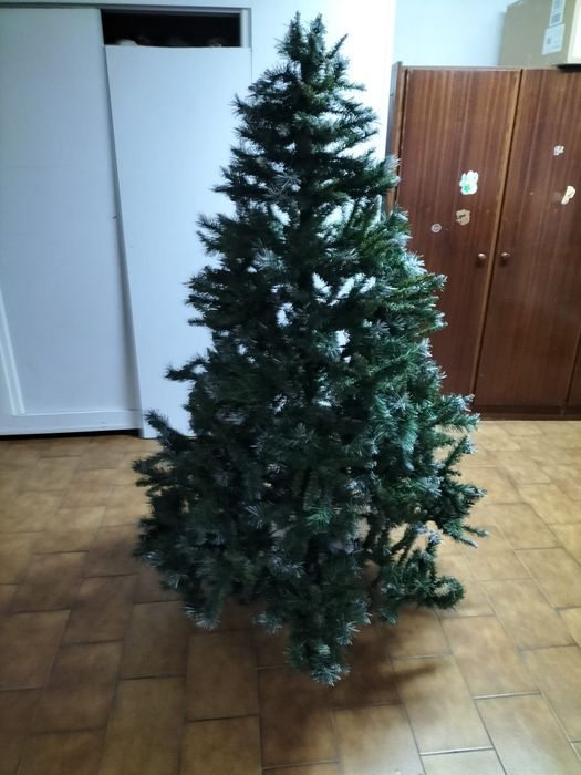 Árvore de Natal 1,70