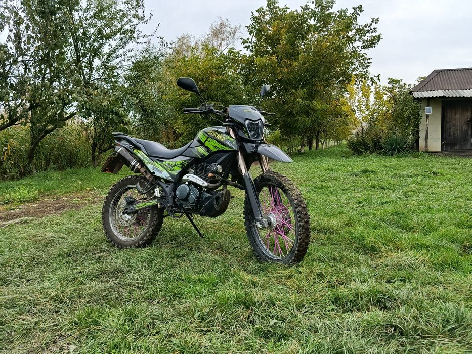 Продам шенерай 6ц