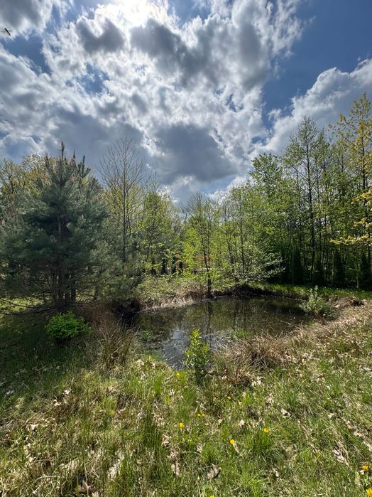 Продаж будинку у с.Зубра