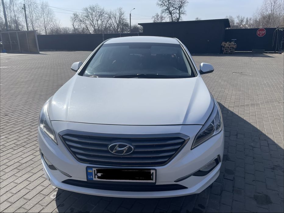 Hynday sonata