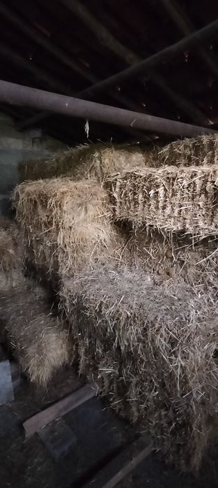 Fardos de palha novos