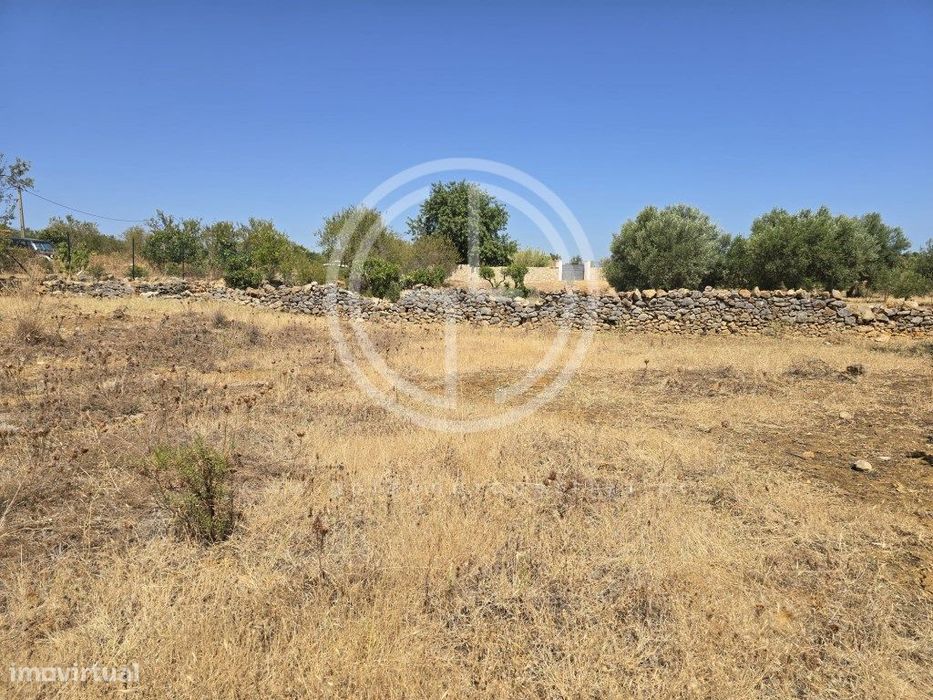 Terreno em Falfosa, Santa Barbara de Nexe, Faro — Santa Bárbara de Nexe, Faro
