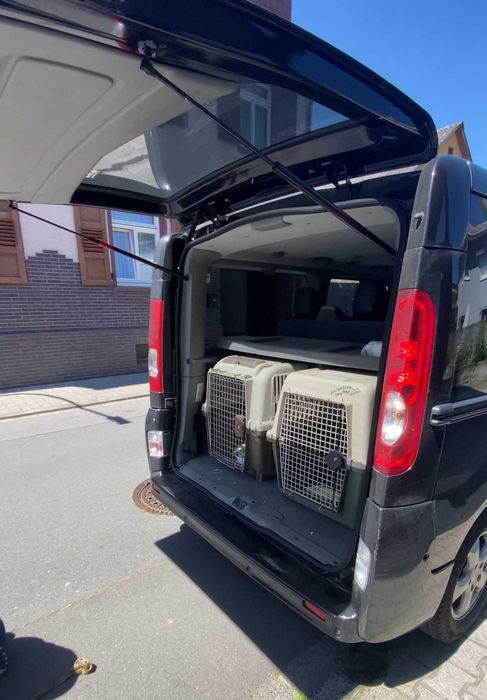 Професійне перевезення тварин Доставка животных в Европу США Канаду