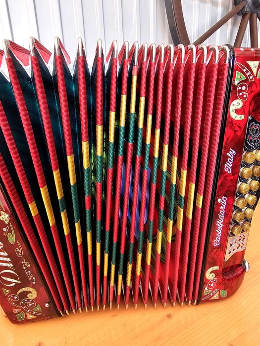 Vendo linda concertina Dino Bafetti super tuga