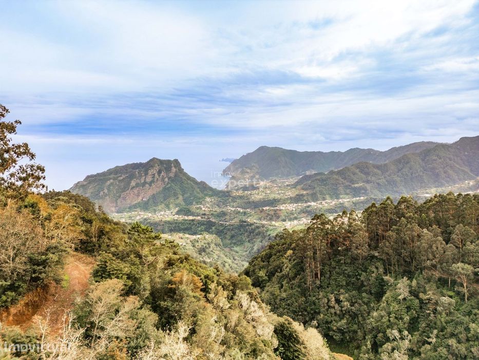 Terreno Rústico em Santana, Madeira