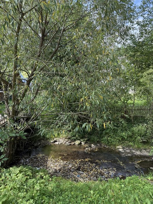 Продається будинок та 10 соток у с. Верхній Студений у карпатах