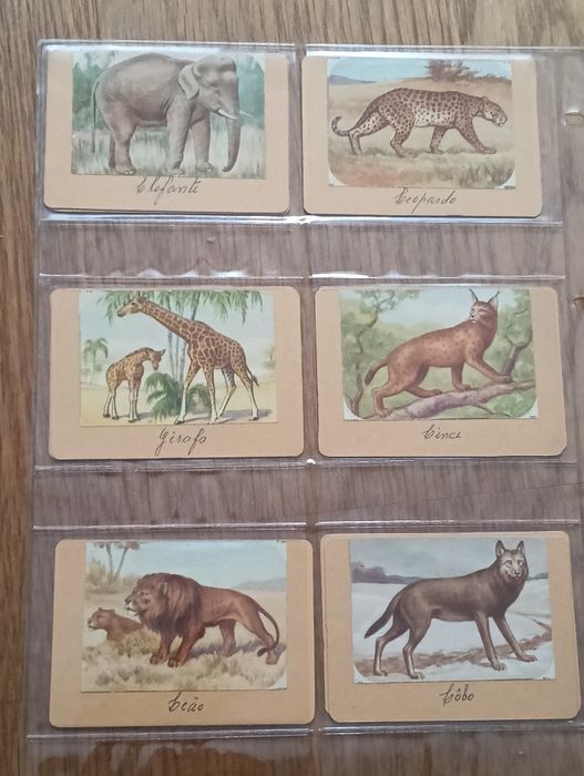 Lote de 17 cromos antigos