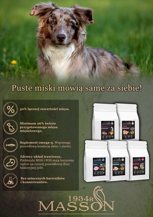 Sucha karma Bezzbożowa i Hypoalergiczna Light Masson indyk 2kg