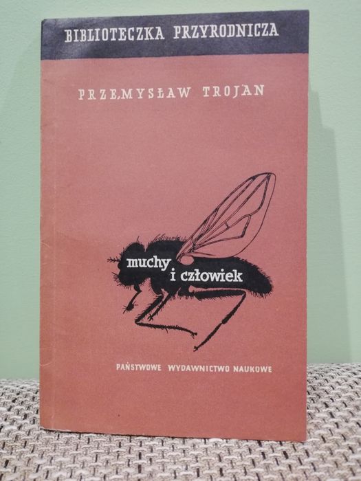 Muchy i człowiek Trojan