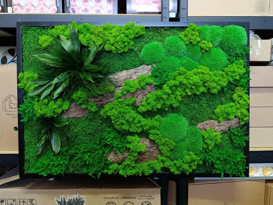 Панно з Моху. Декор з Мохом. Фітокартина зі Стабілізованим Мохом