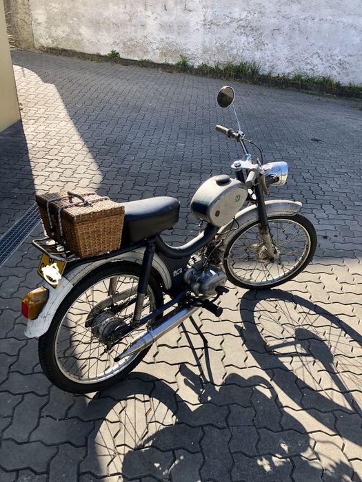 Sachs minor gt