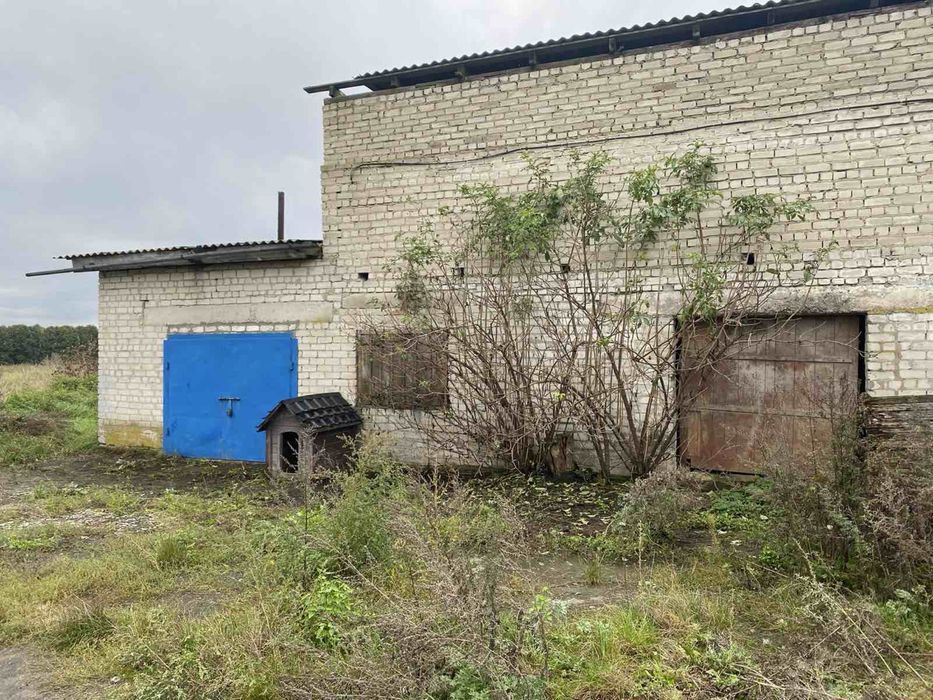 Приміщення свинарника