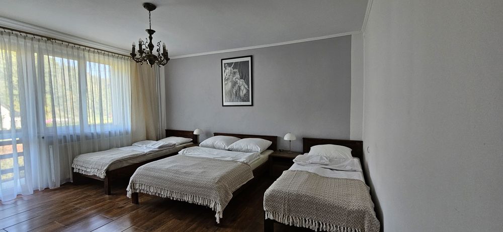 URLOP Wakacje Lato Urlop  wyżywienie Weekend Bieszczady Solina góry las