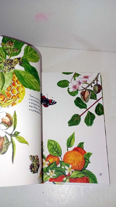 Vamos Salvar o Dragão