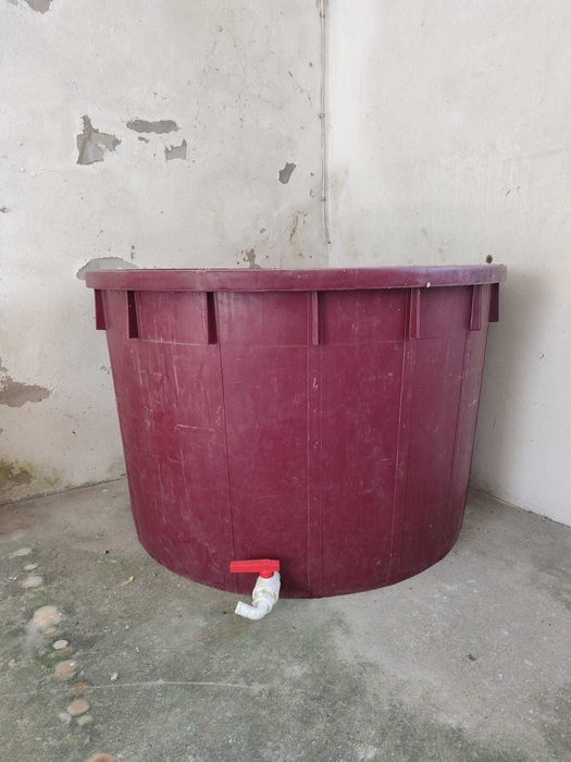 Dornas/tinas de vindima