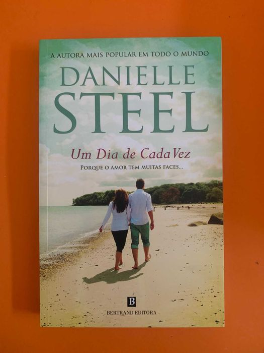 Um Dia de Cada Vez - Danielle Steel