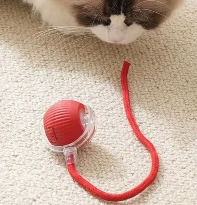 Piłka interaktywna dla kota