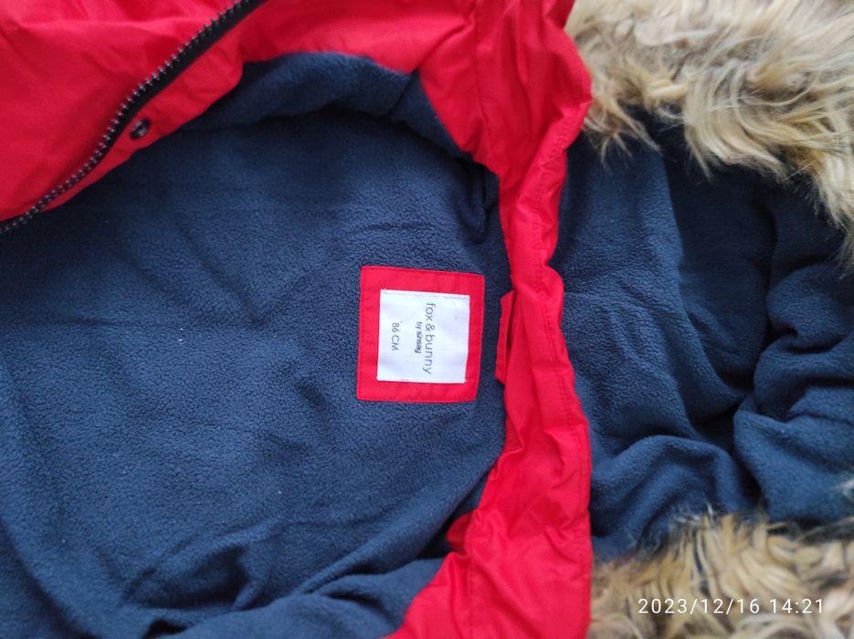 Kurteczka dla chłopca 86