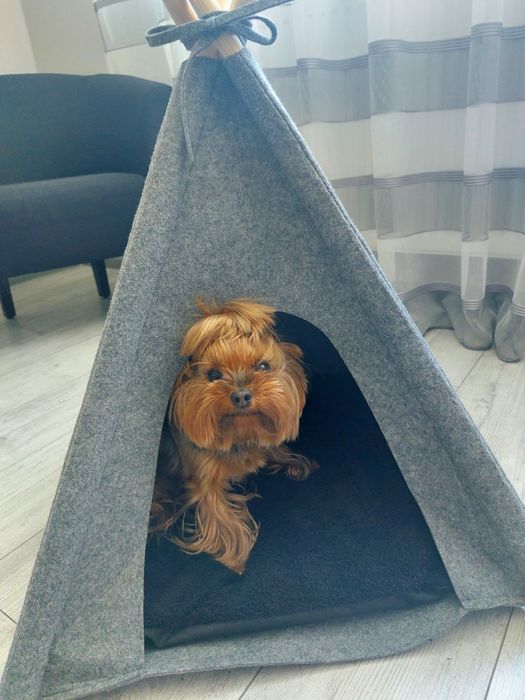 Будка намет для тварин MyAnimaly